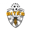 FM Bitės FM Bitės